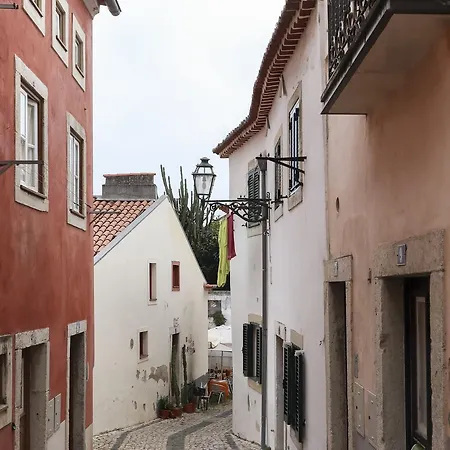 Golden Castle By Homing